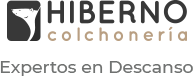 logo hiberno